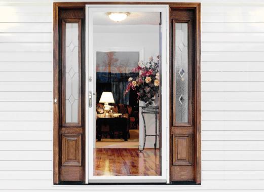 Aluminum Storm Doors